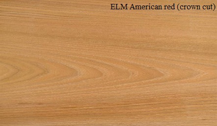 Elm American Crown Wood Veneer